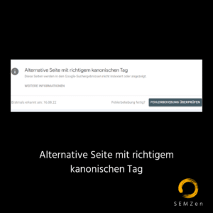 Google Search Console Meldung "Alternative Seite mit richtigem kanonischen Tag" - Ursachen - Problematisch oder nicht? - Was tun? Lösungen